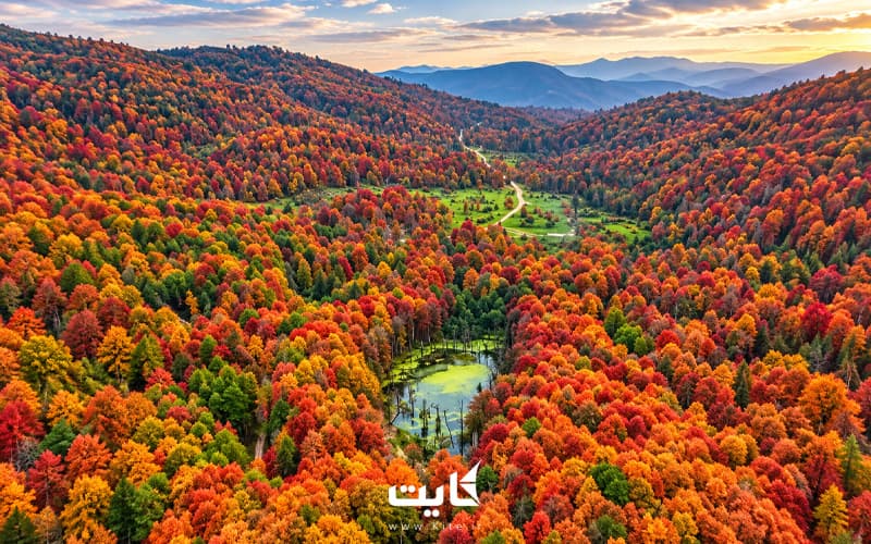 تور سافاری دریوک | سفر به اسرارآمیزترین مرداب ایران — تصویر 5