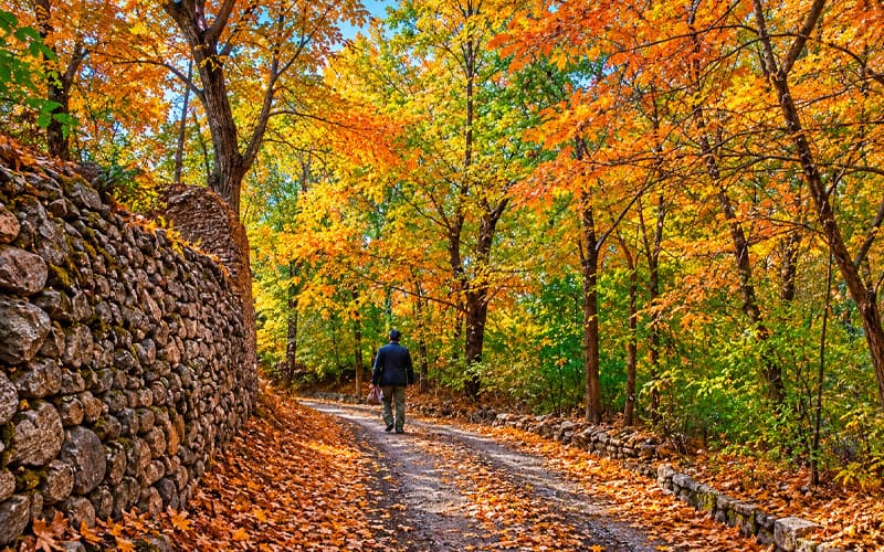 تور یک‌ روزه پاییزی خوانسار