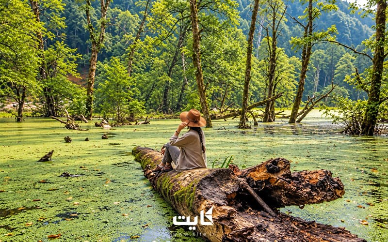 تور سافاری دریوک | سفر به اسرارآمیزترین مرداب ایران — تصویر 2