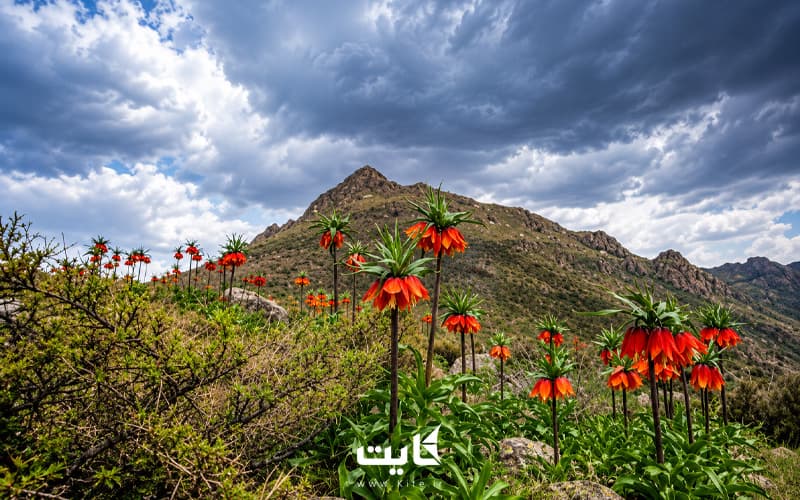 تور یک روزه پاییزی خوانسار — تصویر 5