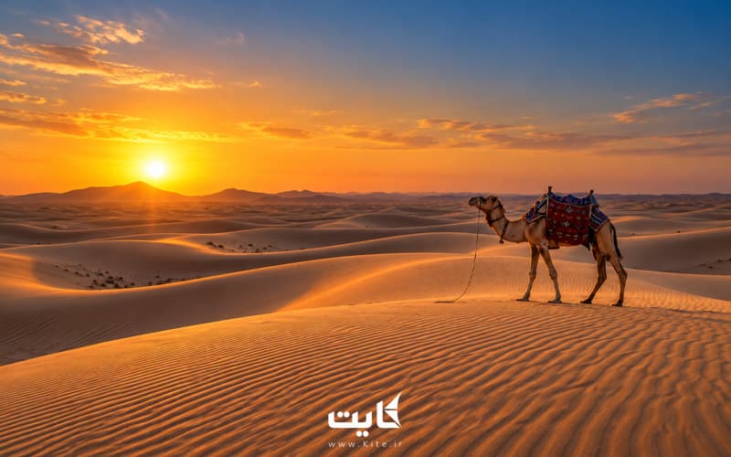 تور یزد | کویر کاراکال — تصویر 6